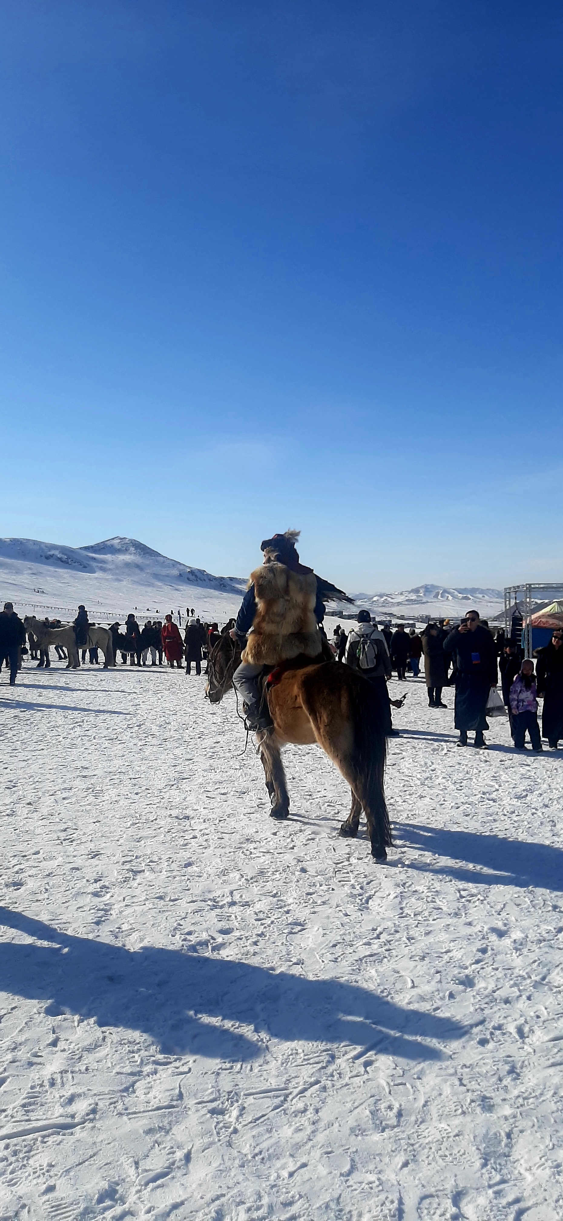 Majestic golden eagle perched on hunter's arm in Bayan-Olgii